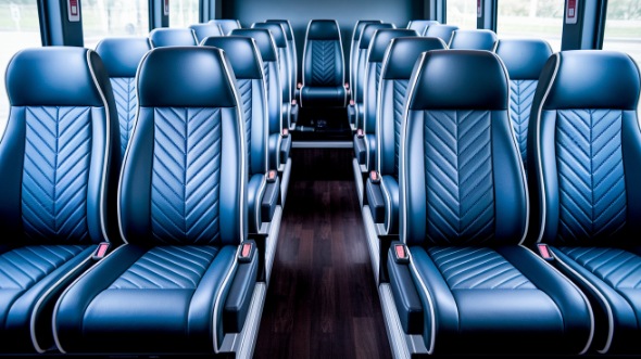 chicago 18 passenger minibus rental