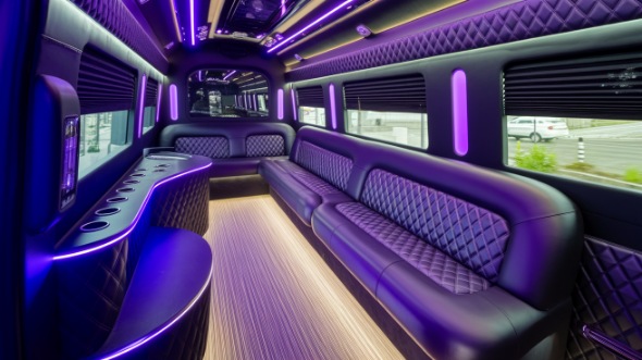 chicago sprinter limo rental inside